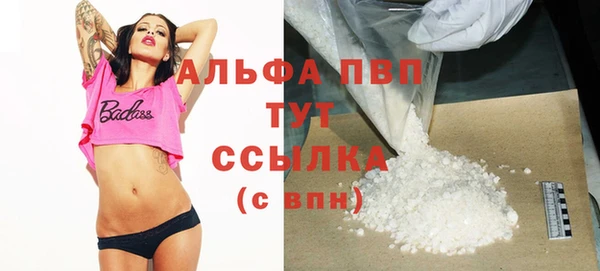 ECSTASY Костерёво