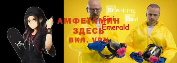 ECSTASY Костерёво