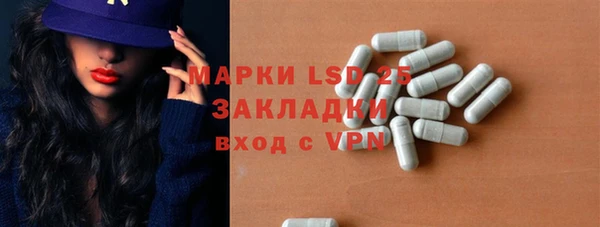 ешки Корсаков