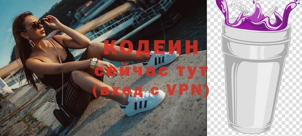 ешки Корсаков