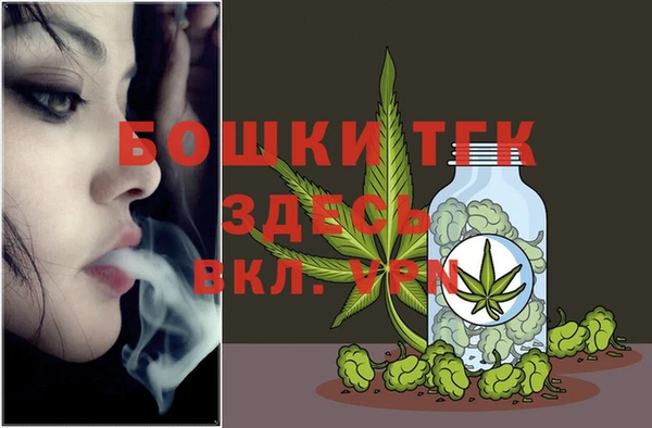 ECSTASY Костерёво